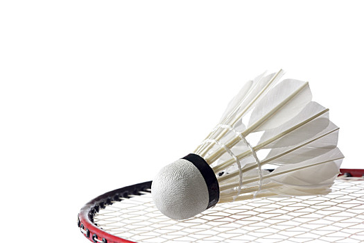 其能力的一 其能力的一